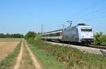 101 016-4 mit dem EC 9 von Hamburg-Altona nach Chur HB am Nachmittag des 05.09.13 sdlich von Buggingen.