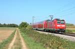 146 112-8 mit einem RE von Offenburg nach Basel SBB am Nachmittag des 05.09.13 sdlich von Buggingen.