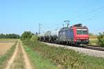 482 024-7 mit einem Kesselzug Richtung Sden am Nachmittag des 05.09.13 sdlich von Buggingen.