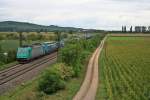 185 577-4 mit einem KLV-Zug gen Norden am Nachmittag des 12.09.13 bei Hgelheim mit Blick Richtung Mllheim (Baden).