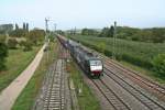 ES 64 F4-998 durchfuhr am Nachmittag des 28.09.13 den Bahnhofs Mllheim (Baden) in Richtung Basel.