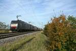 ES 64 F4-082 und eine unbekannt gebliebene Schwerstermaschine ziehen am Nachmittag des 26.10.13 einen Containerzug gen Basel.