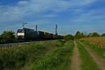 ES 64 F4-999 mit einem KLV-Zug den Süden am Nachmittag des 22.10.13 bei Hügelheim.