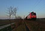 185 129-4 mit einem gemischten Gterzug gen Sden am Abend des 08.03.14 sdlich von Hgelheim.