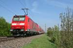 146 115 mit einem RE von Basel nach Offenburg am Mittag des 12.04.14 nrdlich von Mllheim (Baden).