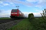 146 113-6 mit einem RE von Schliengen nach Offenburg am Abend des 18.04.14 nrdlich von Mllheim (Baden).