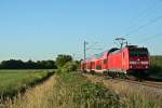 146 239-9 mit der RB 26585 von Offenburg nach Neuenburg (Baden) am Abend des 05.06.14 sdlich von Buggingen.