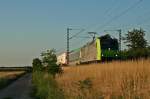 485 010-3 mit der schon gut zwei Stunden verspteten RoLa (DGS) 43633 von Freiburg (Breisgau) Gbf nach Novara am Abend des 16.07.14 nrdlich von Mllheim (Baden).