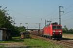 185 115-3 mit dem 45018 von Chiasso nach Mannheim Rbf am Morgen des 01.08.14 in Auggen.