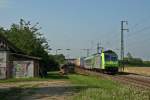 485 020-2 mit der RoLa (DGS) 43600 von Novara nach Freiburg (Breisgau) Gbf am Morgen des 01.08.14 in Auggen.