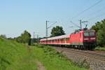 143 145-1 mit der RB 26566 von Neuenburg (Baden) nach Offenburg am Nachmittag des 01.08.14 nrdich von Kollmarsreute.