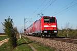 Am 07.04.2017 war die Freiburger 146 231-6 als RB (Offenburg - Basel Bad Bf) unterwegs, als sie bei Hügelheim durchs Markgräflerland in Richtung Schweizer Grenze fuhr.