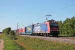 Am Morgen des 12.09.2018 fuhr Re 482 019-7 mit einem bunten  arcese/LKW Walter -KLV bei Hügelheim durchs Rheintal über die KBS 703 in Richtung Freiburg (Breisgau).