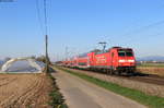 146 225-8 mit der RB 17033 (Offenburg-Basel Bad Bf) bei Niederschopfheim 24.3.20