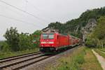 Nachschuss auf 146 205 vom BW Freiburg, als diese am Nachmittag des 25.05.2019 ihren RE (Basel Bad Bf - Offenburg) beim Isteiner Klotz über die alte Rheintalbahn in Richtung Kleinkems schob.