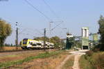 1462 006 als RE 17015 (Offenburg-Basel Bad Bf) bei Friesenheim 19.9.20