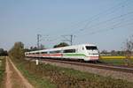 Nachschuss auf 808 030-1  Delitzsch , als dieser am späten Nachmittag des 16.04.2020 als ICE 376 (Basel Bad Bf - Frankfurt (Main) Hbf) südlich von Buggingen durchs Rheintal in Richtung