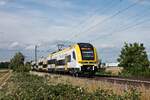 AM späten Nachmittag des 08.07.2020 fuhr der Freiburger 1462 502-4 südlich von Buggingen als RE nach Basel SBB über die Rheintalbahn in Richtung Müllheim (Baden), wo sich der