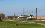 463 006 und 463 018 als RB 17125 (Offenburg - Freiburg Hbf) bei Niederschopfheim 19.3.26