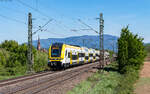 1462 015 und 1462 012 als RE 17022 (Basel Bad Bf - Karlsruhe Hbf) bei K�ndringen 24.4.26
