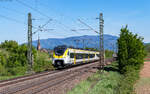 463 010 und 463 018 als RB 17122 (Freiburg Hbf - Offenburg) bei K�ndringen 24.4.26