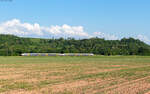 463 083 und 463 016 als RB 17128 (Freiburg Hbf - Offenburg) bei Kenzingen 27.5.26