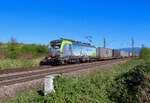 K�ndringen - 11 April 2025 : BLS 475 404 mit einem Kombi von Basel nach Offenburg.