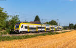 1462 011 als RE 17005 (Offenburg - Basel Bad Bf) bei Kollmarsreute 29.7.26