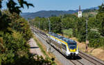 8442 204 als S 88349 (Elzach - Freiburg Hbf) bei Denzlingen 12.8.26