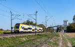 1462 005 als RE 5335 (Offenburg - Basel SBB) in Friesenheim 10.9.26