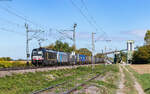 193 661 und 186 509 im Schlepp mit dem DGS 95623 (Mainz Bischofsheim - Basel Grenze) in Friesenheim 10.9.26