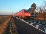 146 111-0 mit einem RE nach Basel SBB im letzten Sonnenlicht des 22.02.12 bei der Einfahrt in Auggen.