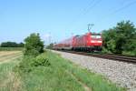 146 115 mit einem RE nach Offenburg am Nachmittag des 05.08.13 sdlich von Buggingen.