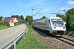 64 80 80-91 174-1 mit 120 157-3 als IC 2___ (Ersatzzug fr den ICE 279) nach Basel SBB am 15.08.13 sdlich von Schallstadt.