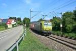 145-CL 031 mit einem KLV-Zug gen Sden am Nachmittag des 15.08.13 sdlich von Schallstadt.