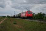 185 584-0 mit einem Kesselzug gen Norden am Nachmittag des 14.09.13 westlich von Hgelheim.