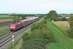 146 109-4 mit einem RE nach Basel Bad. Bf am Mittag des 16.10.13 nrdlich von Hgelheim.