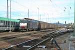 ES 64 F4-088 mit dem 47083 nach Italien am Mittag des 24.12.13 in Freiburg (Breisgau) Gbf. 185 541-0, die ihren Kesselzug gerade auf Gleis 7 abstellt, wird den Papierzug bis Basel Rbf bernehmen, um nicht als Lz fahren zu mssen.