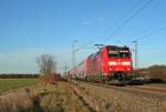 146 114-4 mit einem RE von Offenburg nach Basel SBB am Nachmittag des 11.02.14 bei Hügelheim.