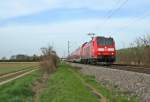 146 109-4 mit einem RE von Offenburg nach Basel SBB am Nachmittag des 02.04.14 südlich von Buggingen.