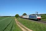 Endlich hab' ich sie: 186 102 im Zebra-Look mit dem 43013 von Venlo auf dem Weg nach Melzo am Nachmittag des 23.05.14 bei Hgelheim.