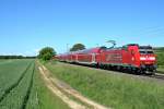 146 113-6 mit einem RE von Offenburg nach Schliengen am Nachmittag des 23.05.14 bei Hgelheim.