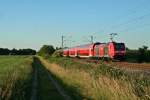 146 236-5 mit der RB 26586 von Schliengen nach Freiburg (Breisgau) Hbf am Abend des 05.06.14 sdlich des Haltepunktes Buggingen.