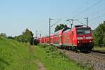 146 114-4 mit einem RE von Offenburg nach Schliengen am Nachmittag des 01.08.14 nrdlich des Haltepunktes Kollmarsreute.