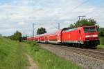 146 231-6 mit einem RE nach Offenburg am Nachmittag des 08.08.14 nrdlich des Haltepunkts Kollmarsreute.