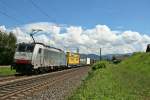 186 109 mit dem 41082 von Melzo nach Venlo am Nachmittag des 08.08.14 nrdlich von Kollmarsreute.