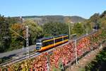 Am Morgen des 24.10.2021 ist ein AVG Stadtbahnwagen als S41 kurz vor Offenau in Richtung Heilbronn unterwegs.