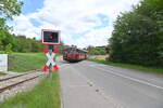 Auf dem Bü zwischen Helmhof und Neckarbischofsheim  Stadt überquert der Rote Flitzer gerade die L549 am 16.5.2021 
