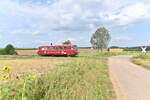 Landschaftsbahnbild mit Feldwegbü und Rotem Flitzer bei Siegelsbach am Sonntag den 15.8.2021 gen Neckarbischofheim Nord fahrend.