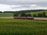 Am Abend des 27.07.25 fuhr der dreiteilige Schienenbus der DB Regio auf der Krebsbachtalbahn von Obergrimpern in Richtung Siegelsbach 